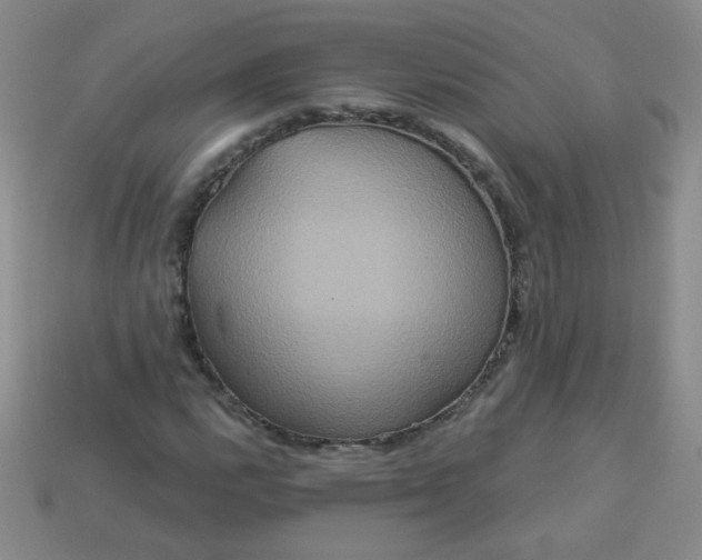 X0000113181112200909181847