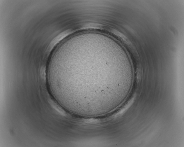 X0000113181113200909181847