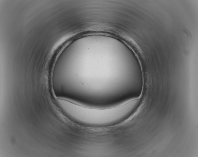 X0000113181114200909181847