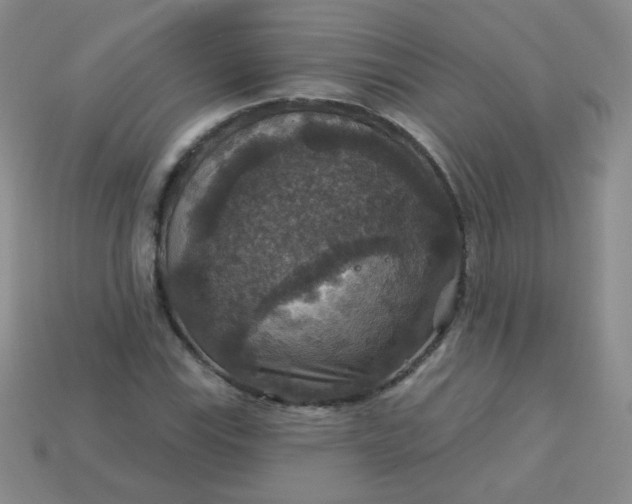 X0000113181115200909181847