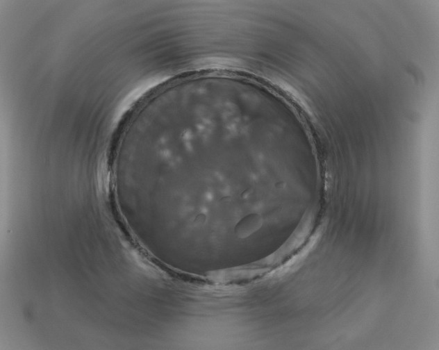 X0000113181117200909181847