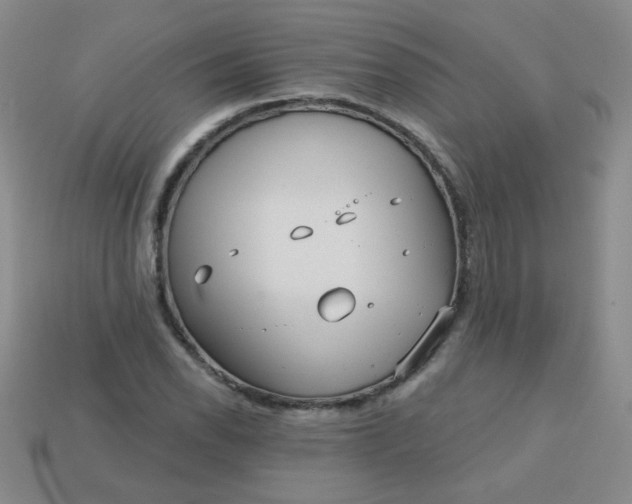 X0000113181118200909181847