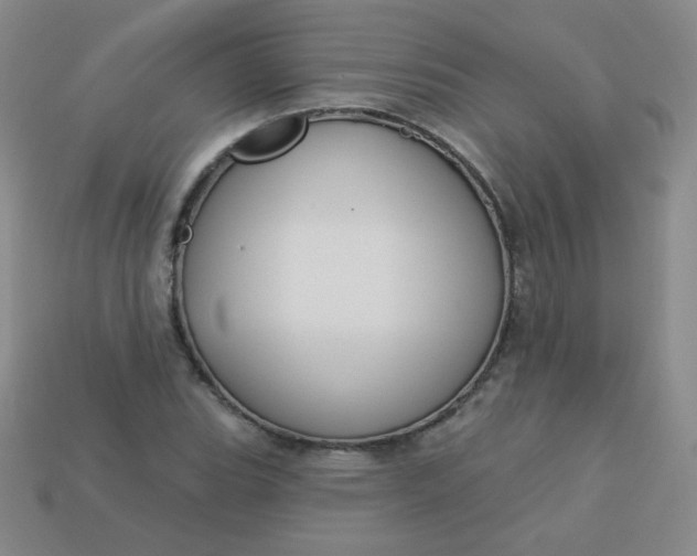 X0000113181119200909181847