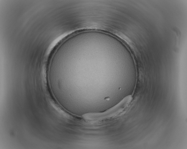 X0000113181120200909181847