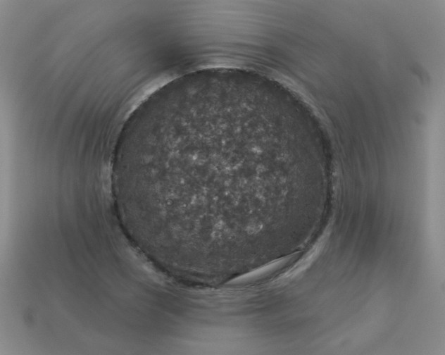 X0000113181121200909181847