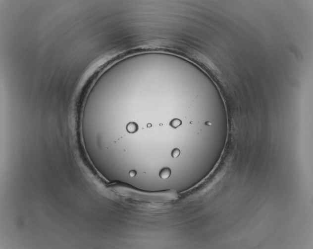 X0000113181122200909181847