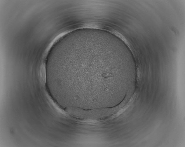 X0000113181123200909181847