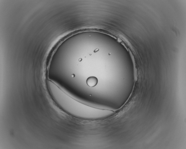 X0000113181124200909181847