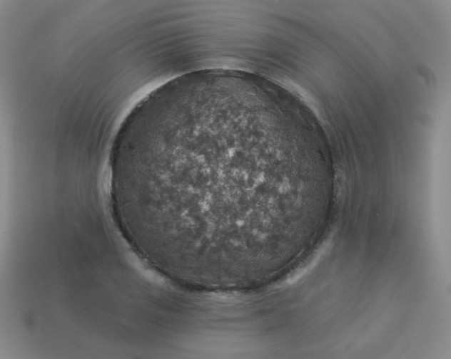 X0000113181125200909181847