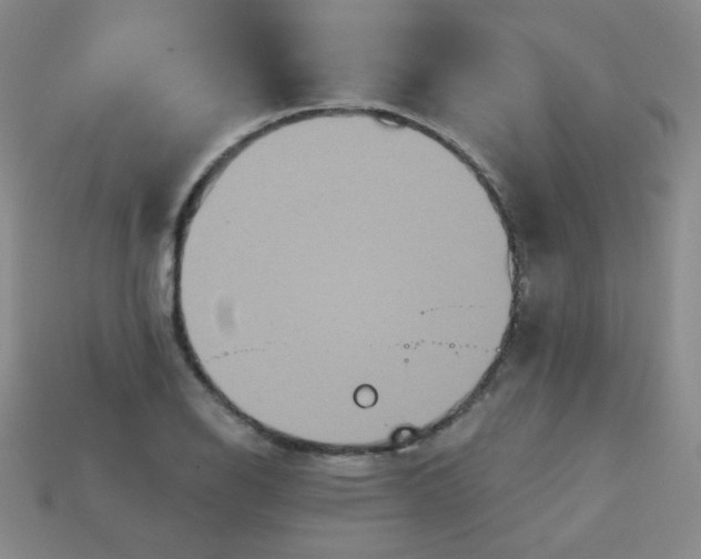 X0000113181126200909181847