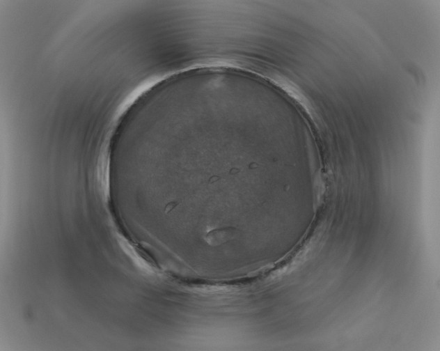 X0000113181127200909181847