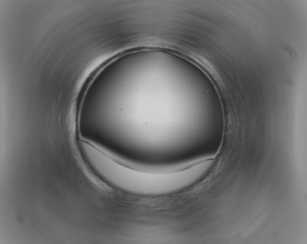 X0000113181128200909181847