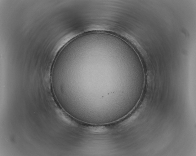 X0000113181129200909181848