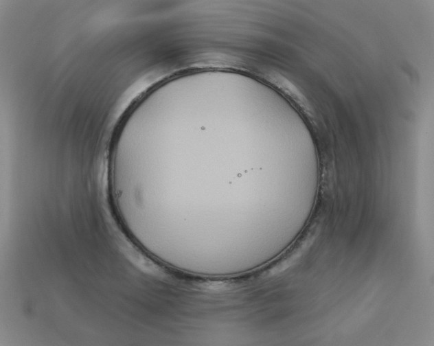 X0000113181130200909181848