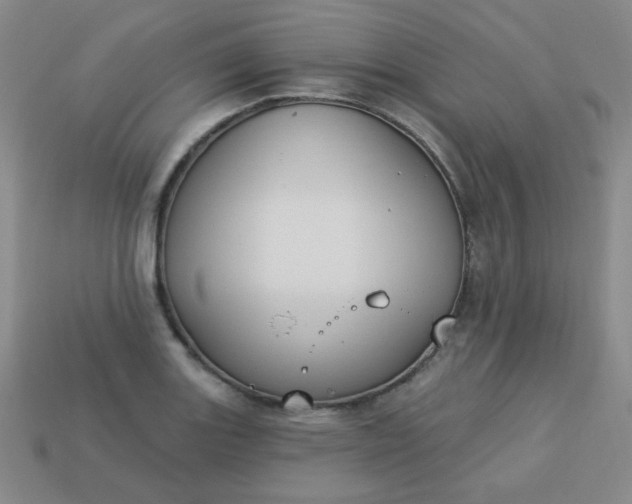 X0000113181131200909181848