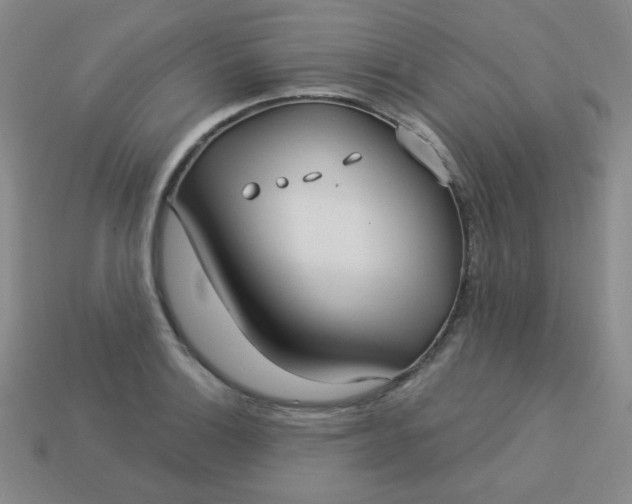 X0000113181132200909181848