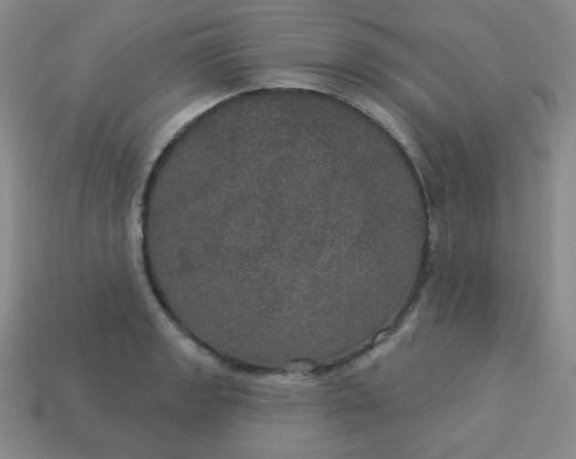 X0000113181133200909181848