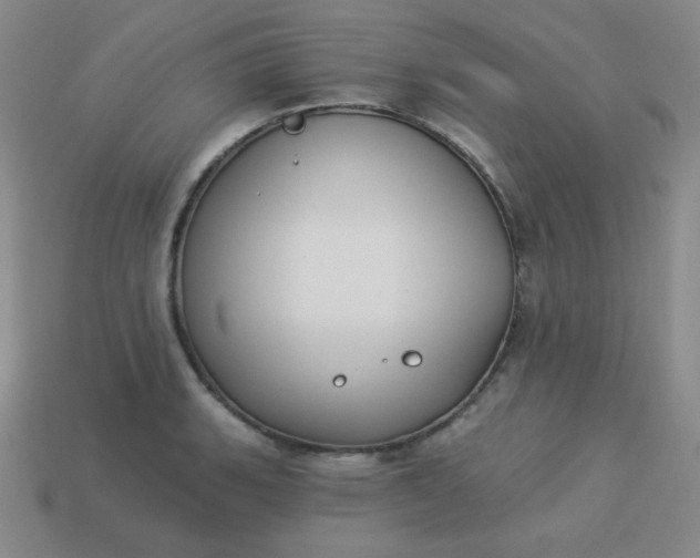 X0000113181135200909181848