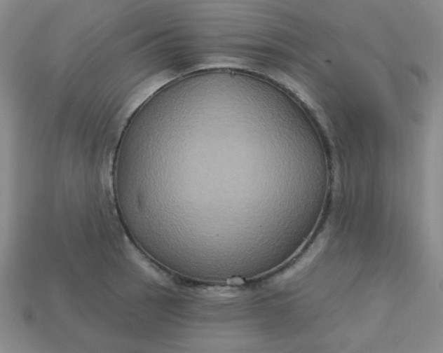 X0000113181137200909181848