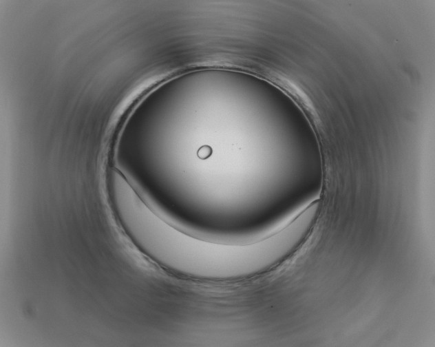 X0000113181138200909181848