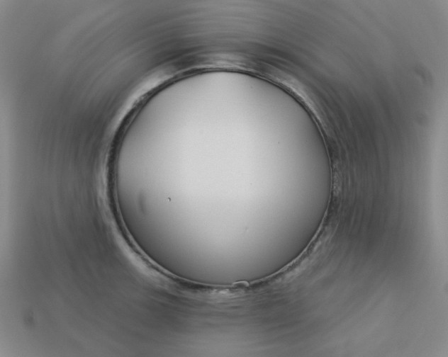 X0000113181139200909181848