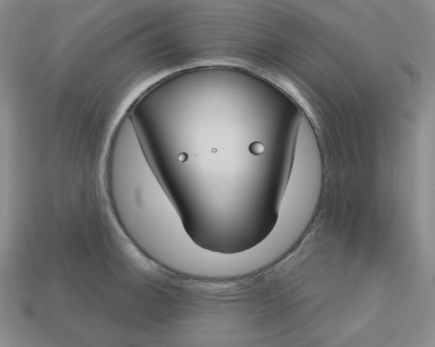 X0000113181140200909181848