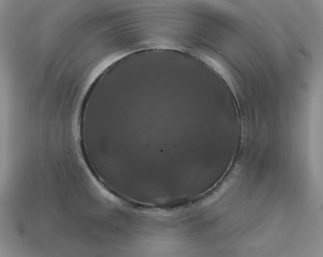 X0000113181141200909181848