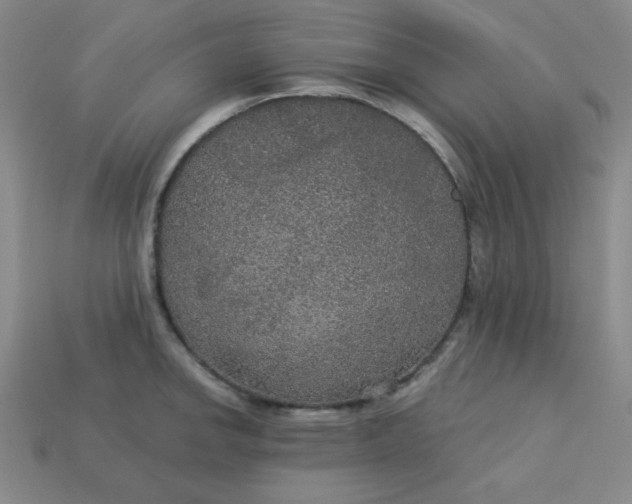 X0000113181142200909181848