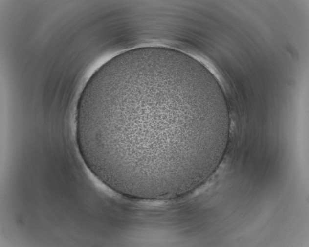 X0000113181143200909181848