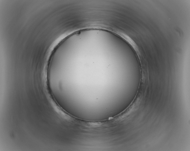 X0000113181144200909181848