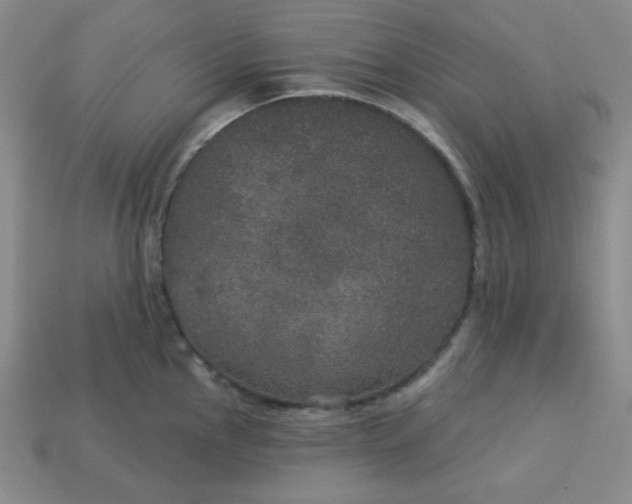 X0000113181145200909181848