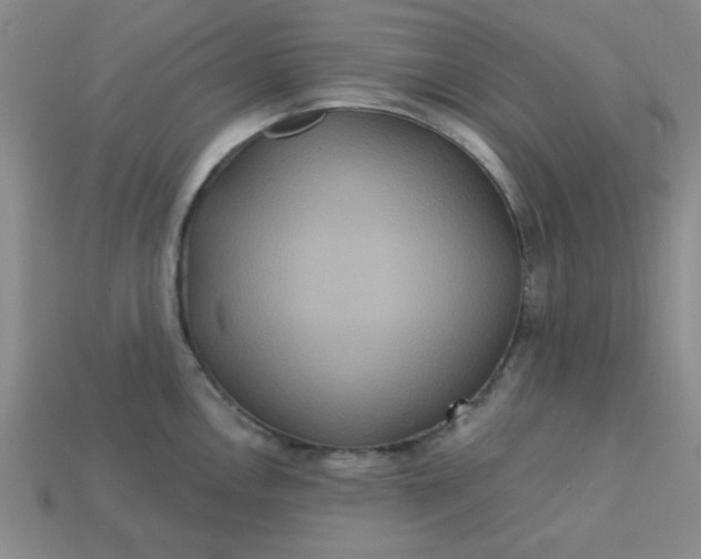 X0000113181146200909181848