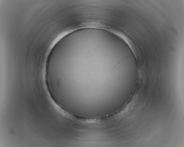 X0000113181147200909181848