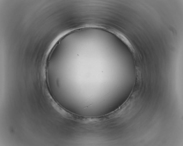 X0000113181148200909181848