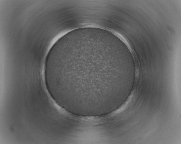 X0000113181149200909181848