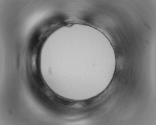 X0000113181150200909181848