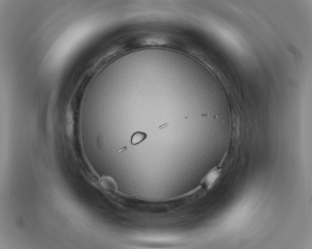 X0000113181151200909181848