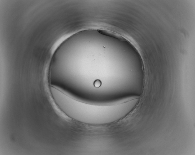 X0000113181152200909181848