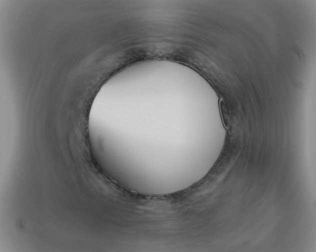 X0000113181153200909181847