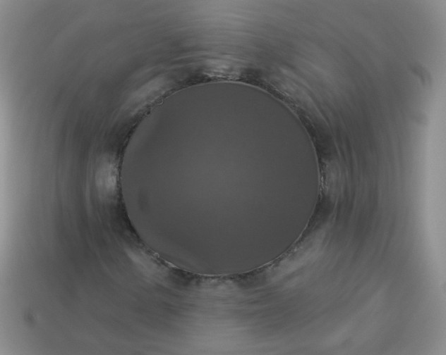 X0000113181154200909181847