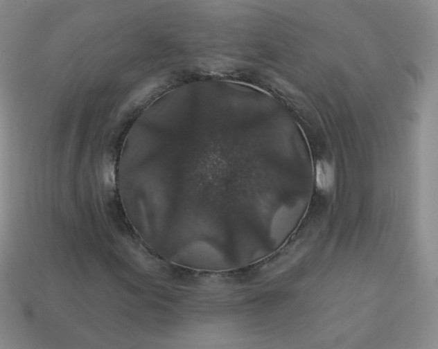 X0000113181155200909181847