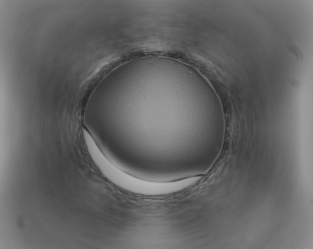 X0000113181157200909181847