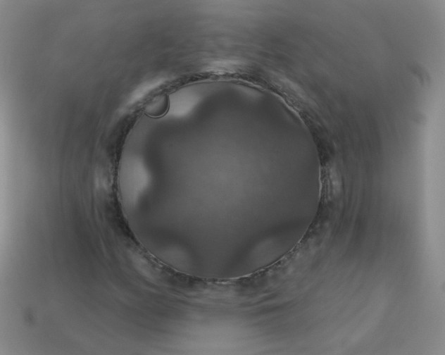 X0000113181158200909181847