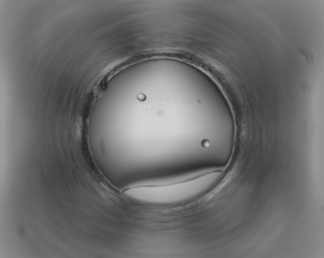 X0000113181161200909181847