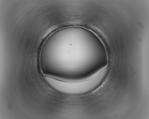 X0000113181162200909181847