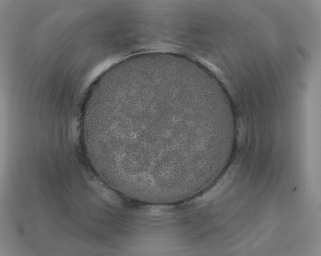 X0000113181163200909181847