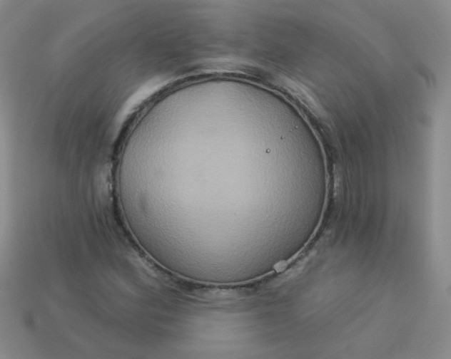 X0000113181164200909181847