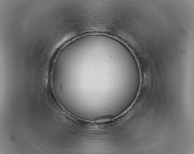 X0000113181165200909181847