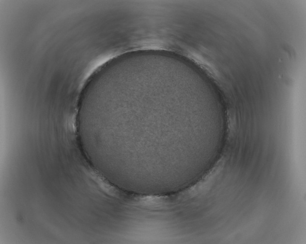 X0000113181166200909181847