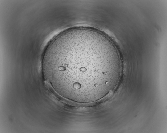 X0000113181167200909181847